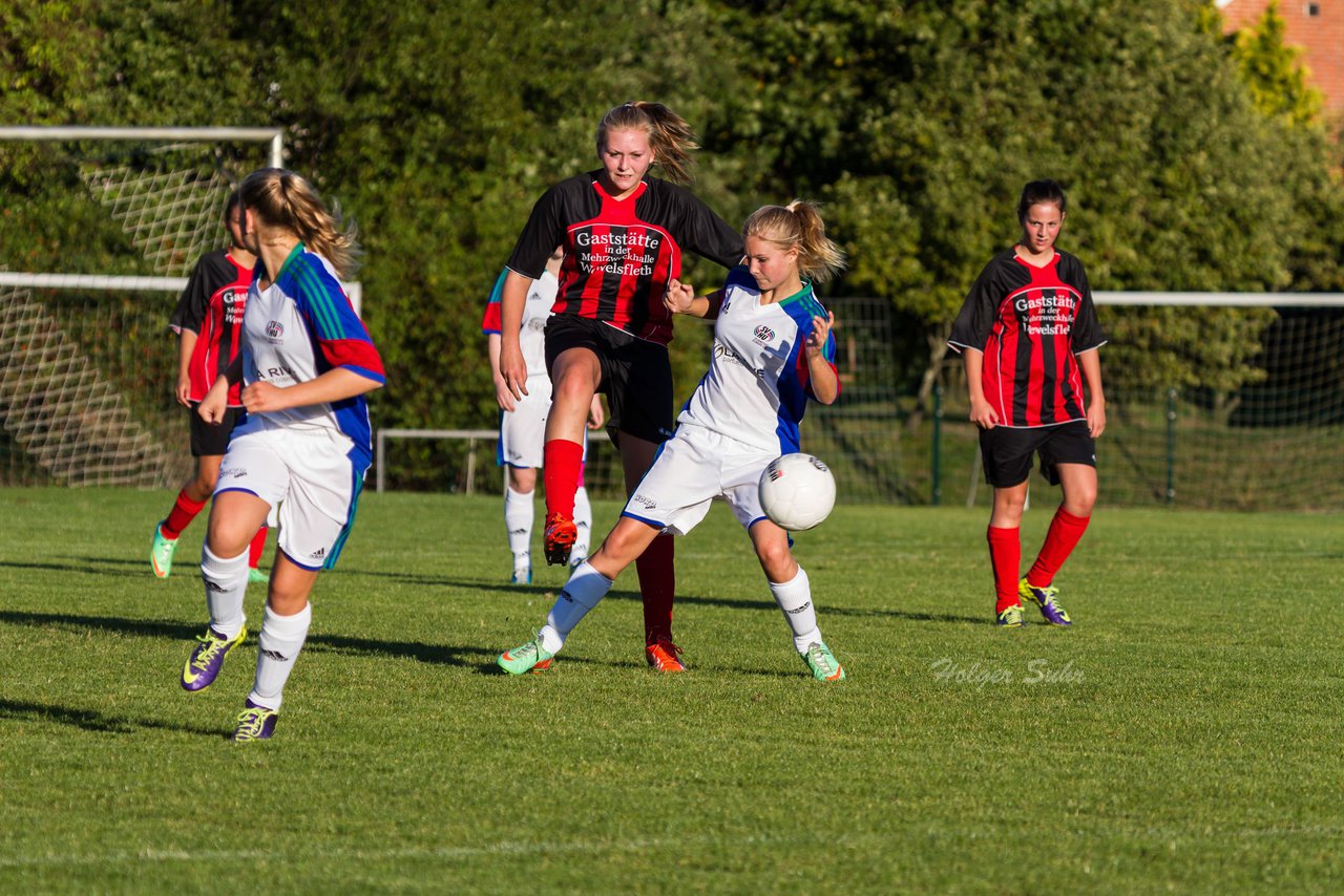 Bild 184 - B-Juniorinnen SG Wilstermarsch - SV Henstedt Ulzburg : Ergebnis: 5:1